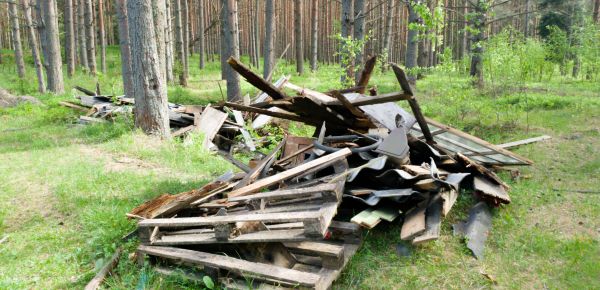 Debris Removal Service in Sun City West