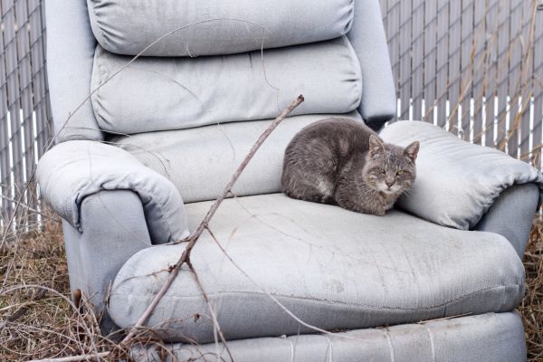 Recliner Disposal in Sun City West