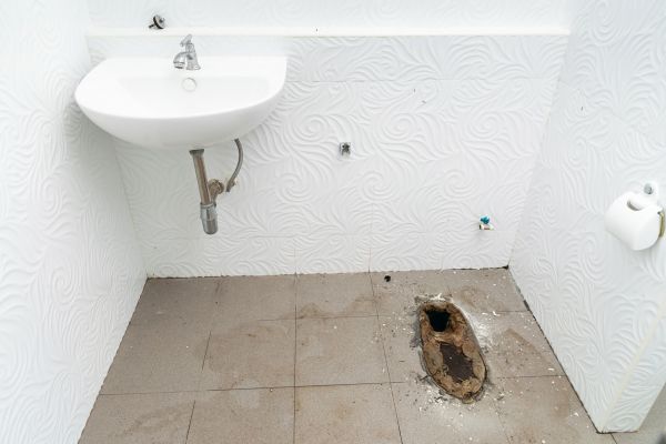Toilet Disposal in Sun City West