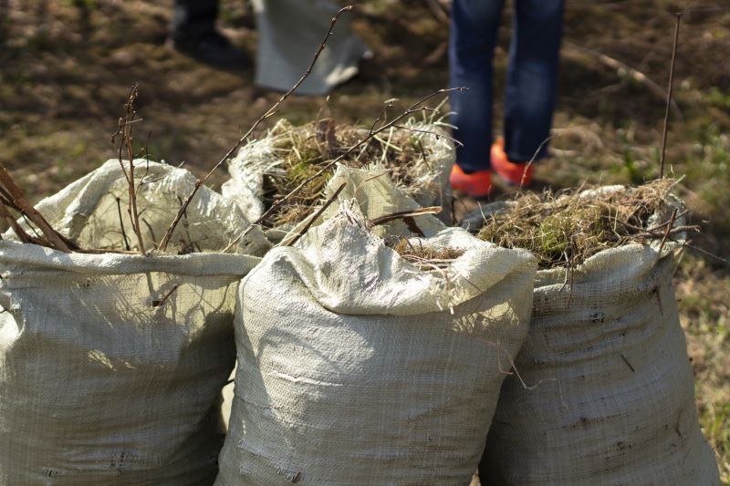 Commercial Junk Removal